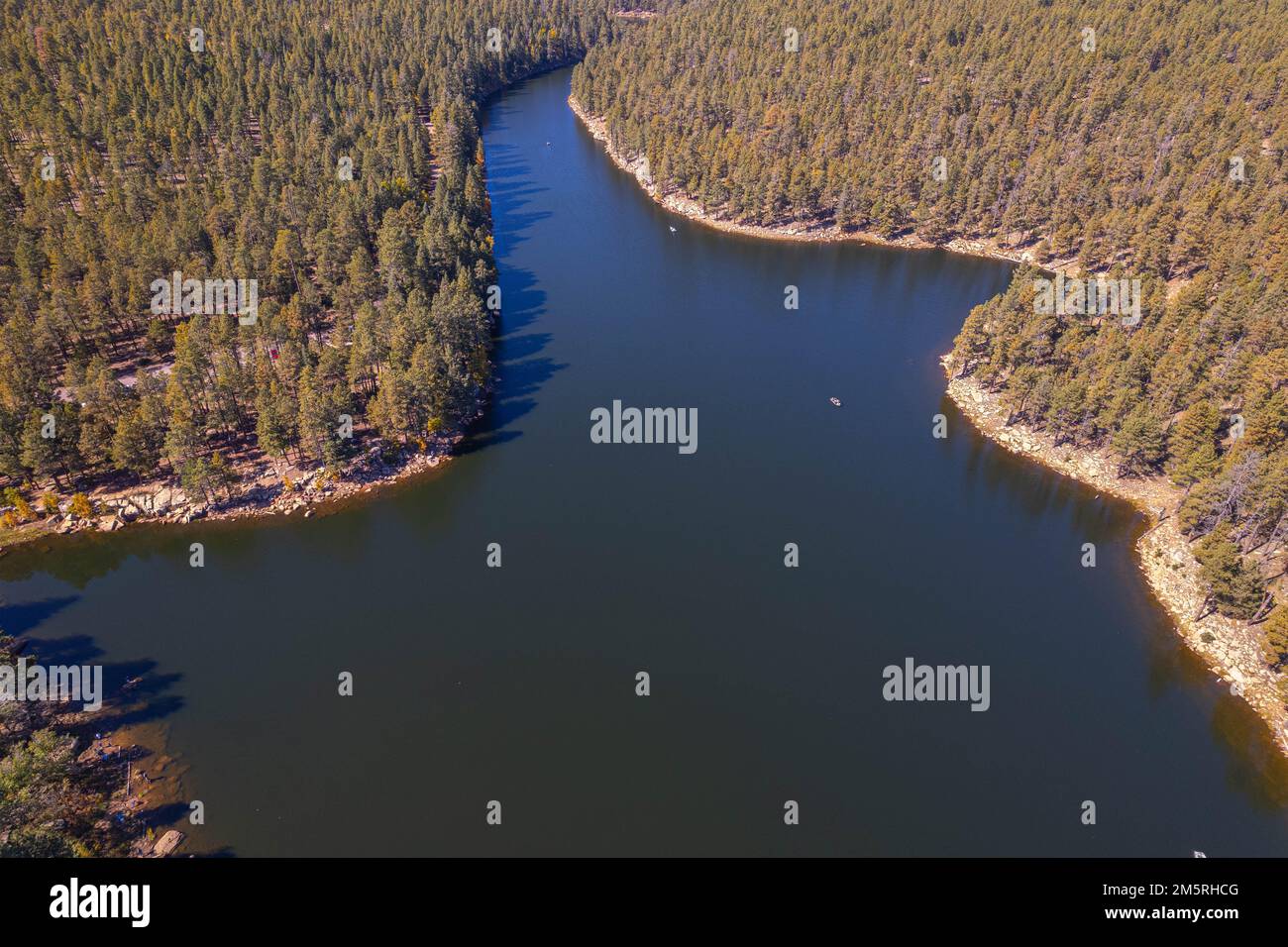 Lake dam surrounded pine trees hi-res stock photography and images - Alamy