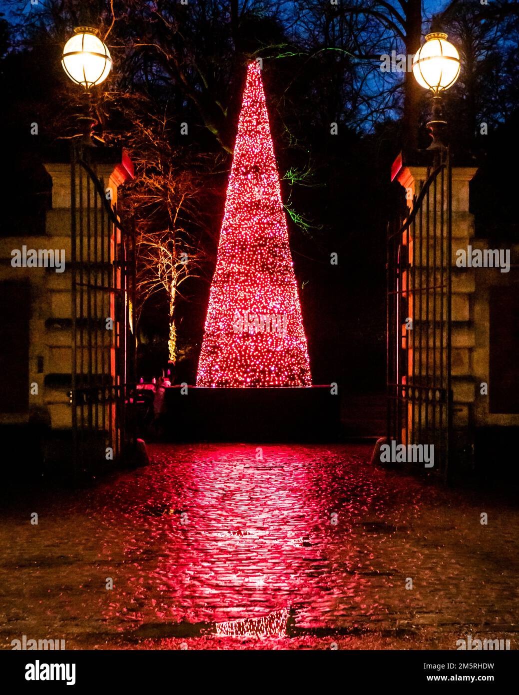 An everchanging LED cone shaped Christmas tree at the stables at