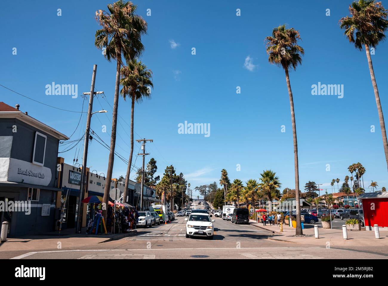 Cars moving on street by shops and palm trees at Santa Cruz Beach ...