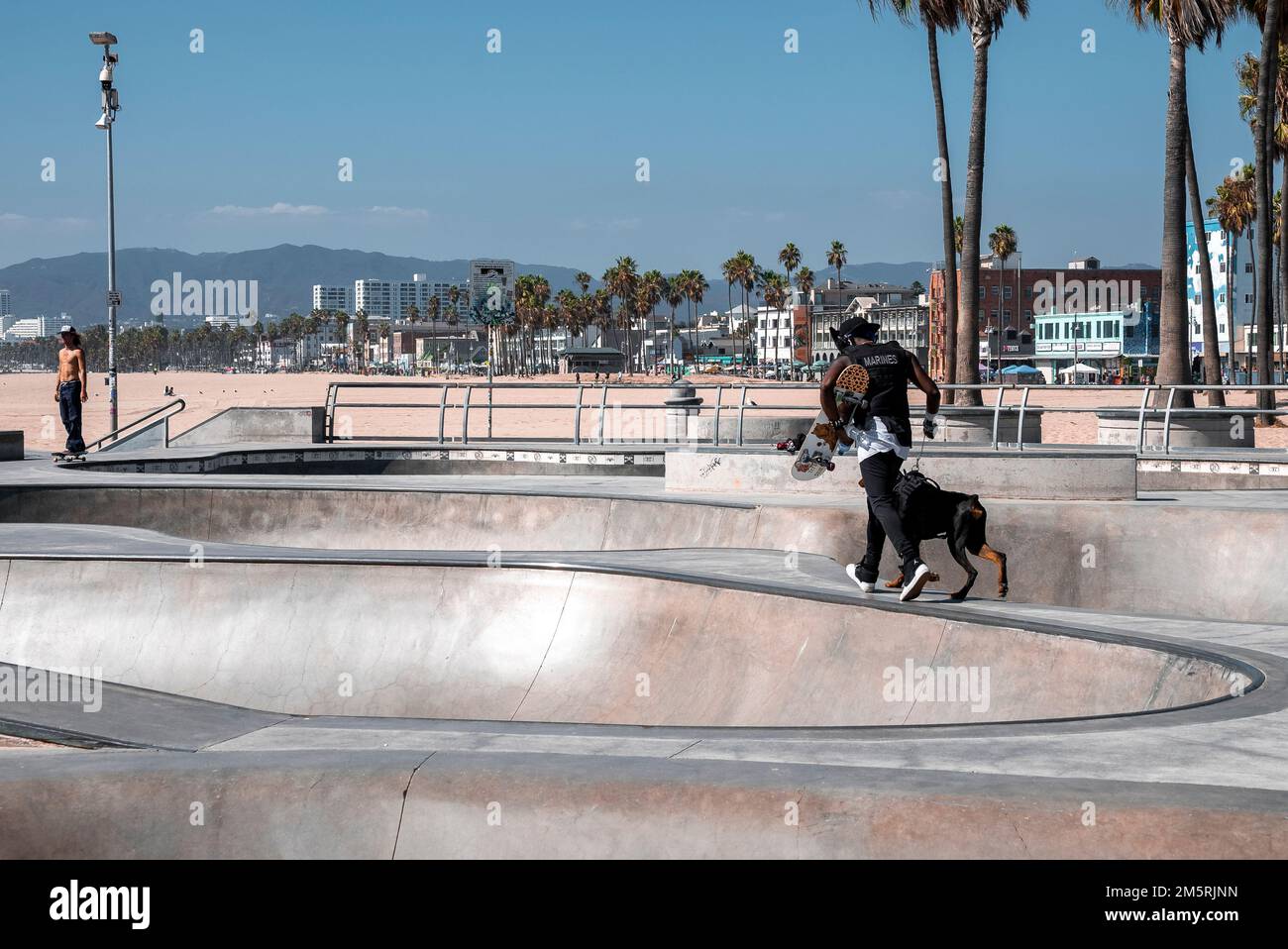 Rear view of man with skateboard and dog running on ramp at skatepark ...