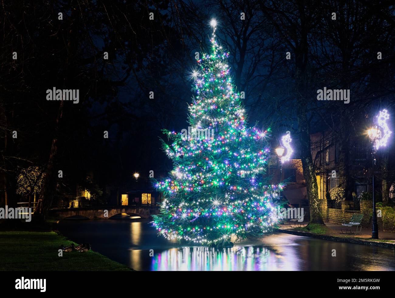The colorful decorated Christmas tree in the river at BourtonontheWater in The Cotswolds