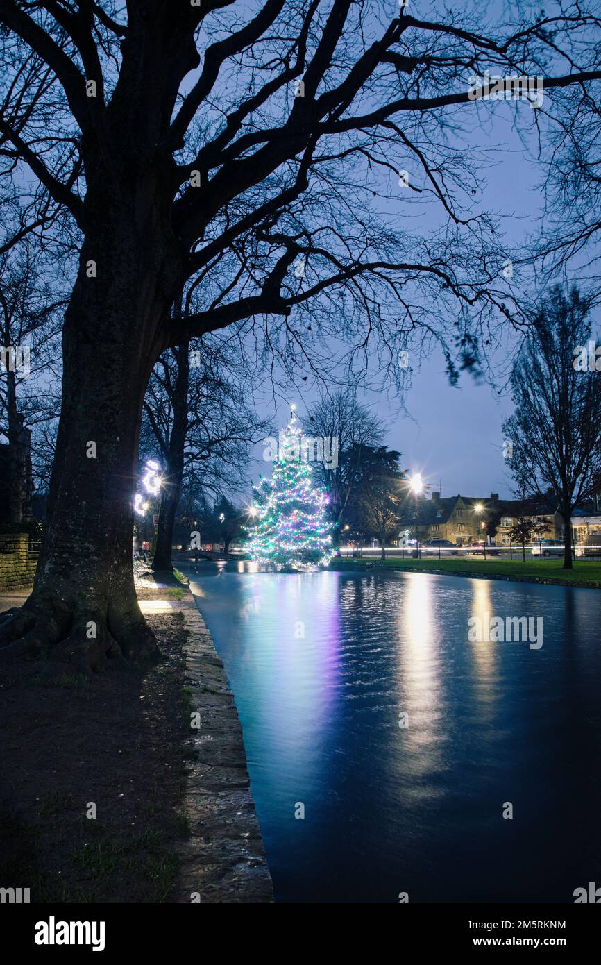 The colorful decorated Christmas tree in the river at BourtonontheWater in The Cotswolds