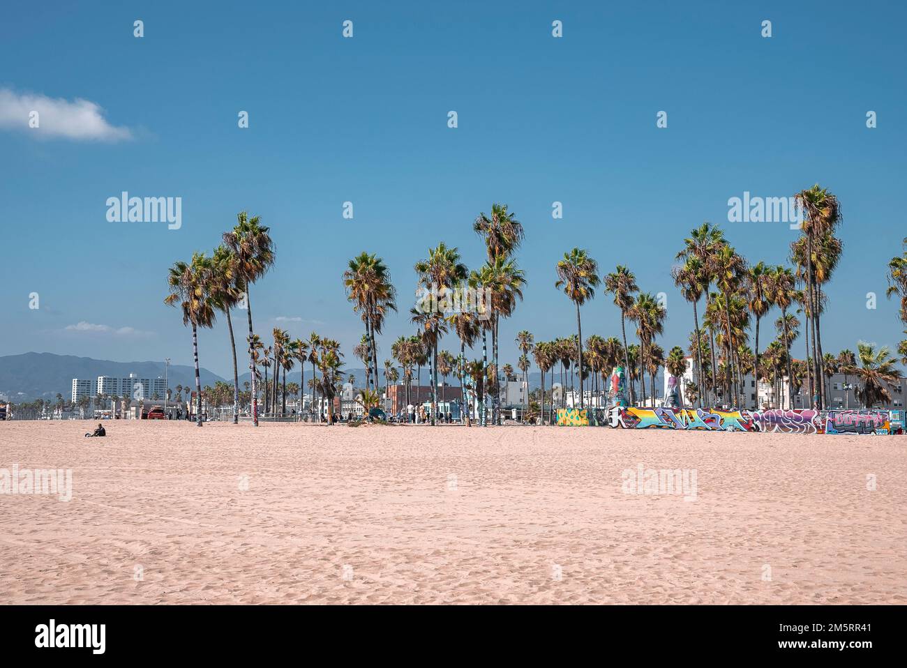Scenic view of palm trees growing on Venice beach during tropical climate Stock Photo