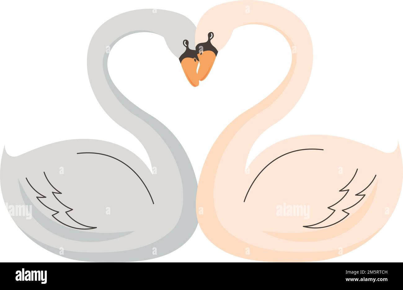 ARE SWANS SOCIAL ANIMALS visual data 3