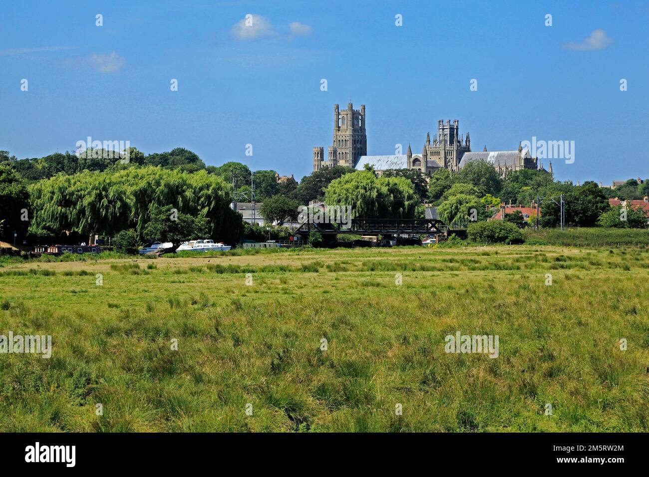 Ely Cathedral, river, fenland, Cambridgeshire, England Stock Photo