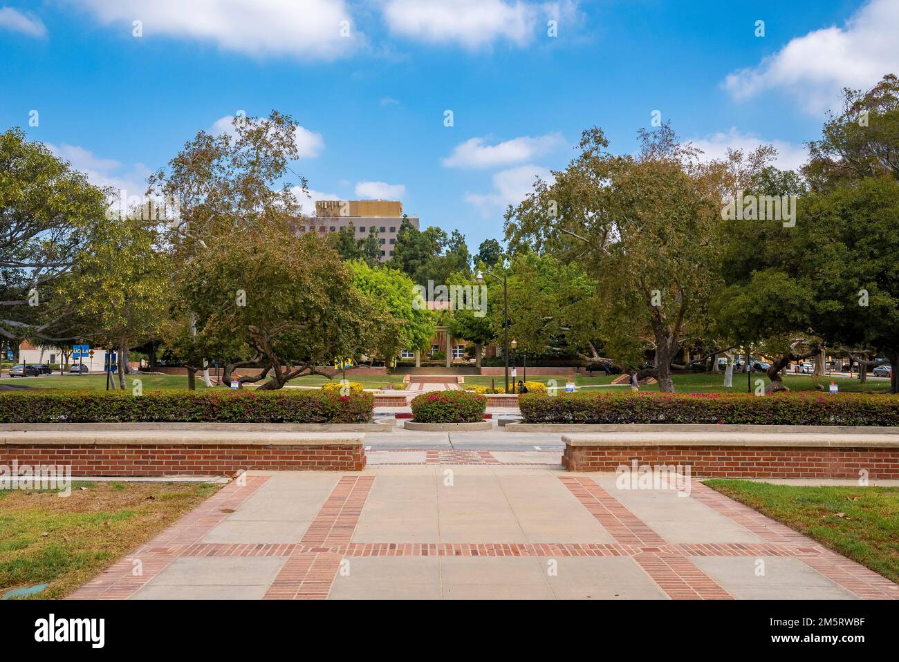 Trees growing in garden at campus of the University of California, Los Angeles Stock Photo