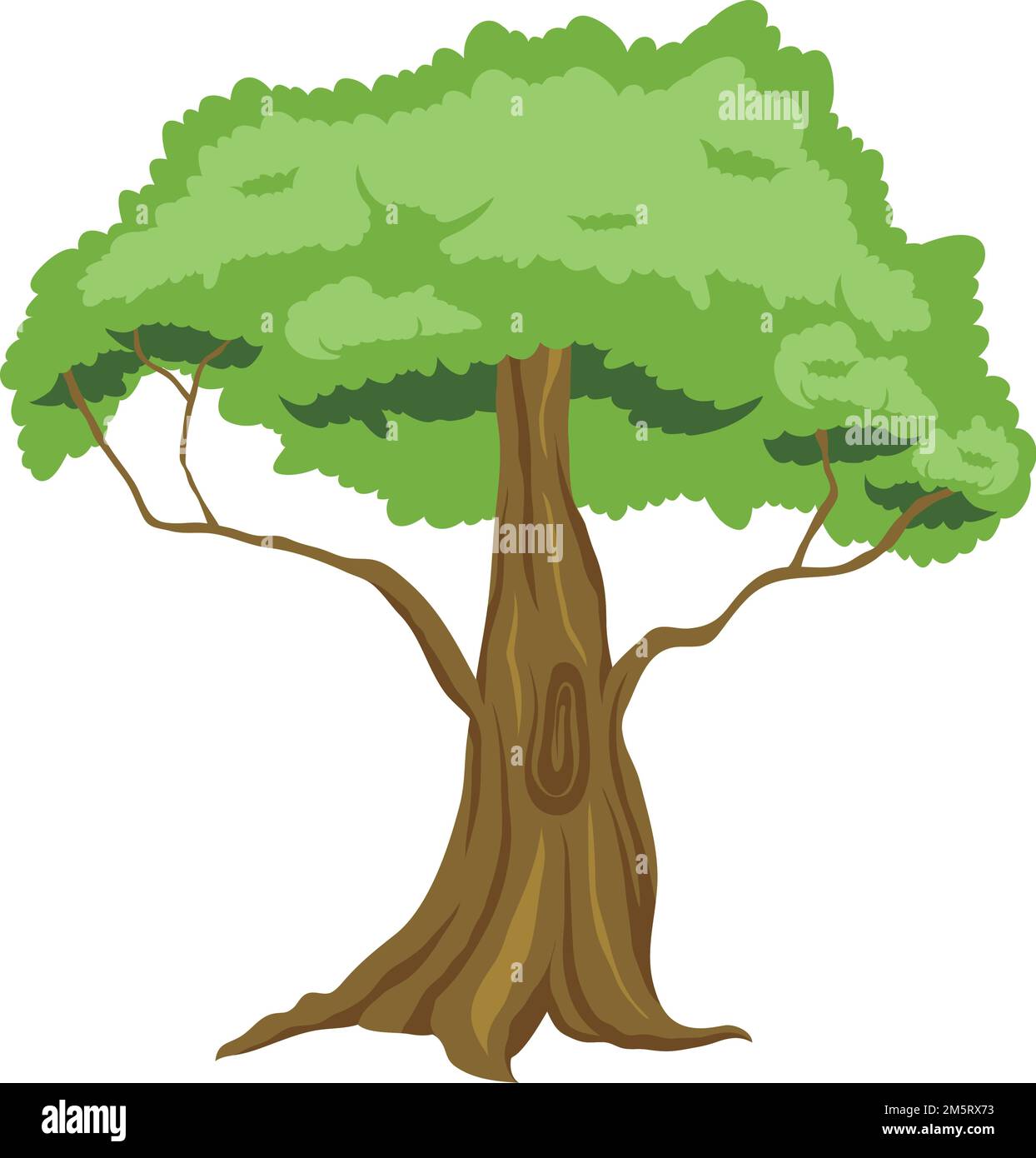 tree plant forest nature icon Stock Vector Image & Art - Alamy