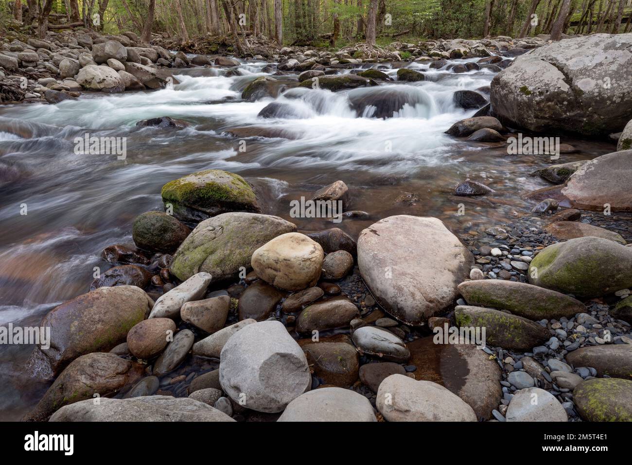 TN00088-00 - Tennessee - Little Pigon River in Great Smokey Mountains National Park. Stock Photo