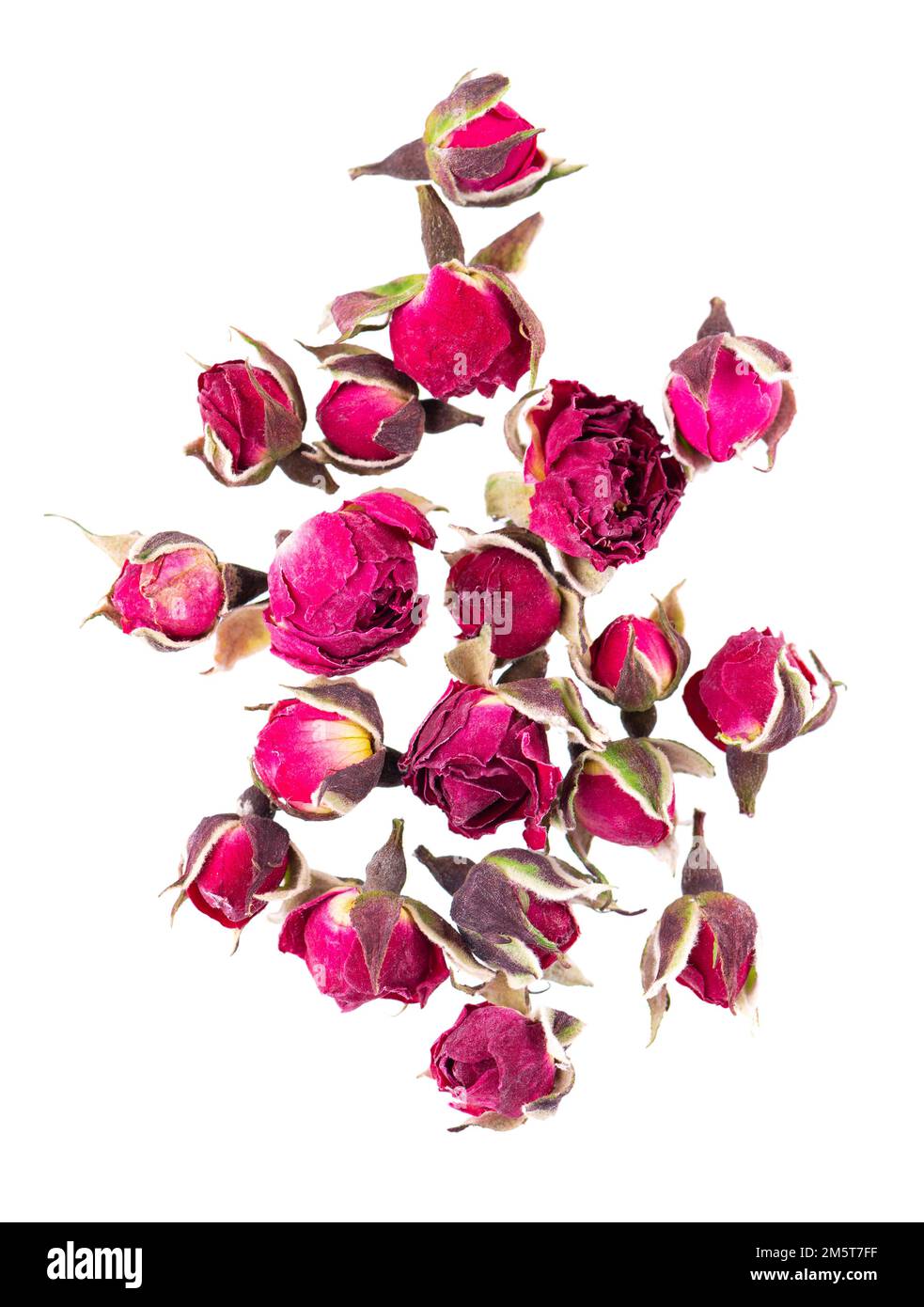 Heap of dry tea roses buds isolated on white background. Rose flower tea. Phnom Penh rose tea