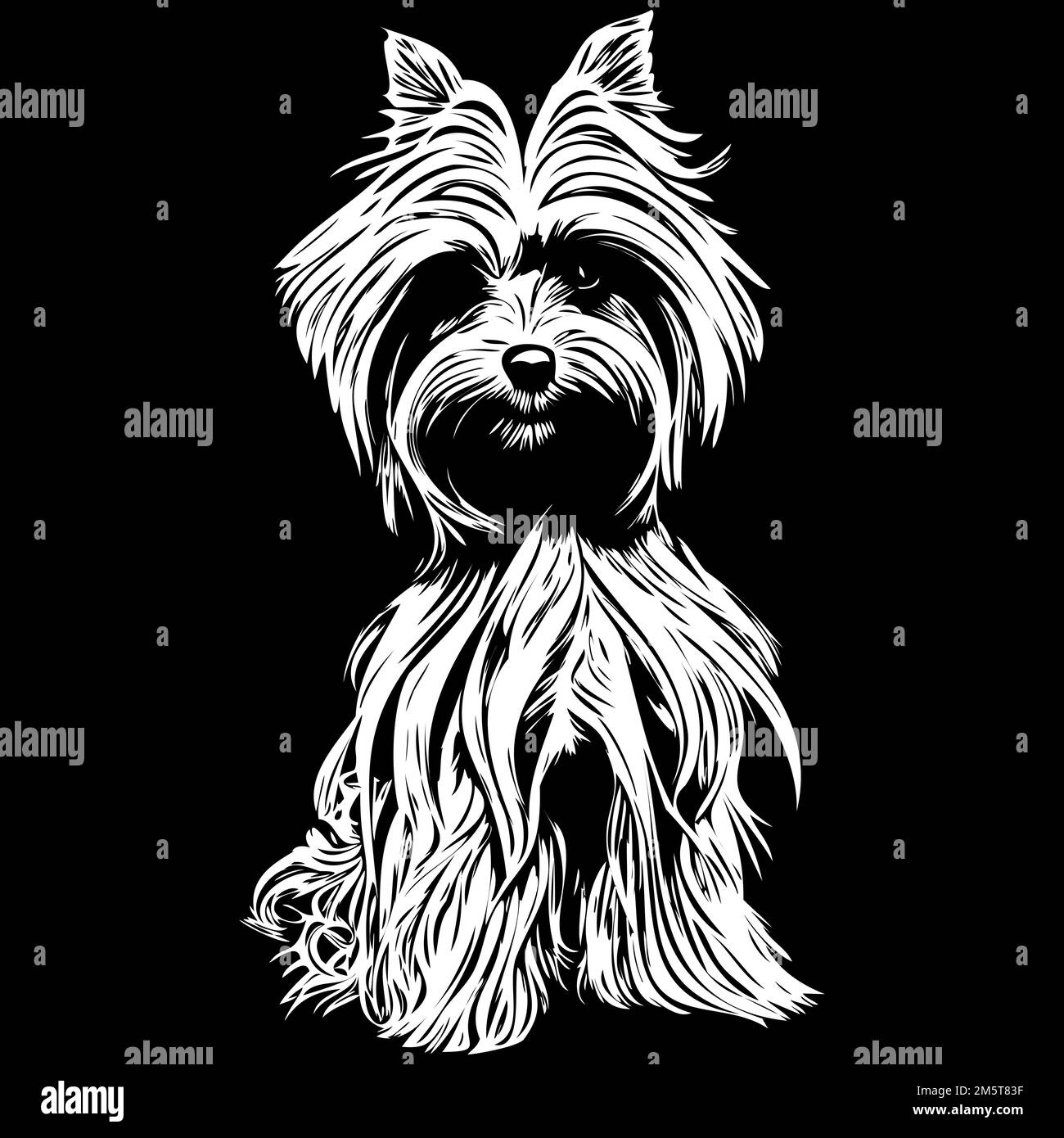 Pet portrait dog breed Black and White Stock Photos & Images Alamy