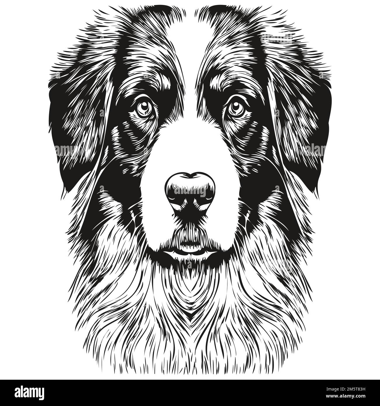 Australian Shepherd dog black and white vector logo, line art hand ...