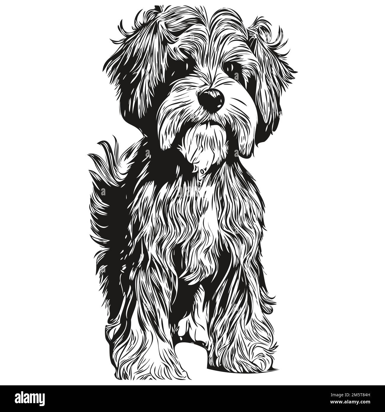 Havanese dog hand drawn line art vector drawing black and white logo