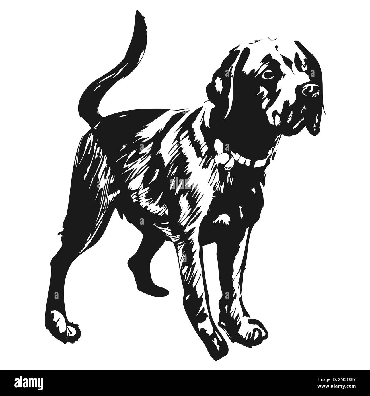 black lab vector hand drawn vector black and white Stock Vector Image
