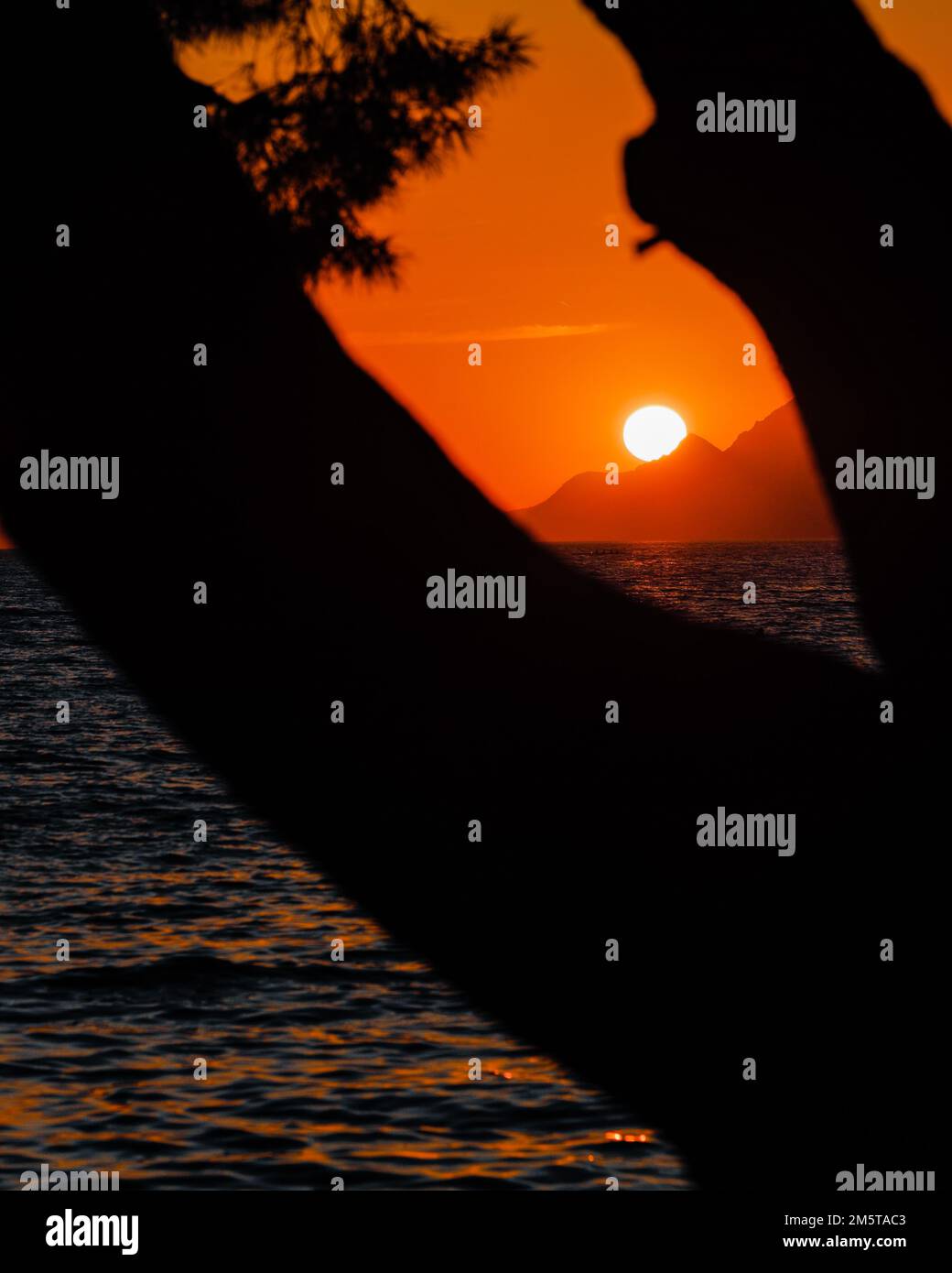 Captured in golden hour hi-res stock photography and images - Alamy