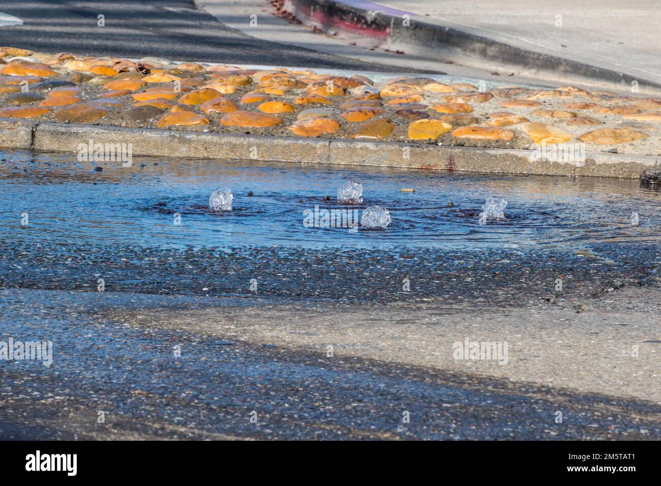 The King tide on Christmas Eve 2022 backs up through the storm drain system at Marina Blvd and Neptune drive in San Leandro California USA Stock Photo