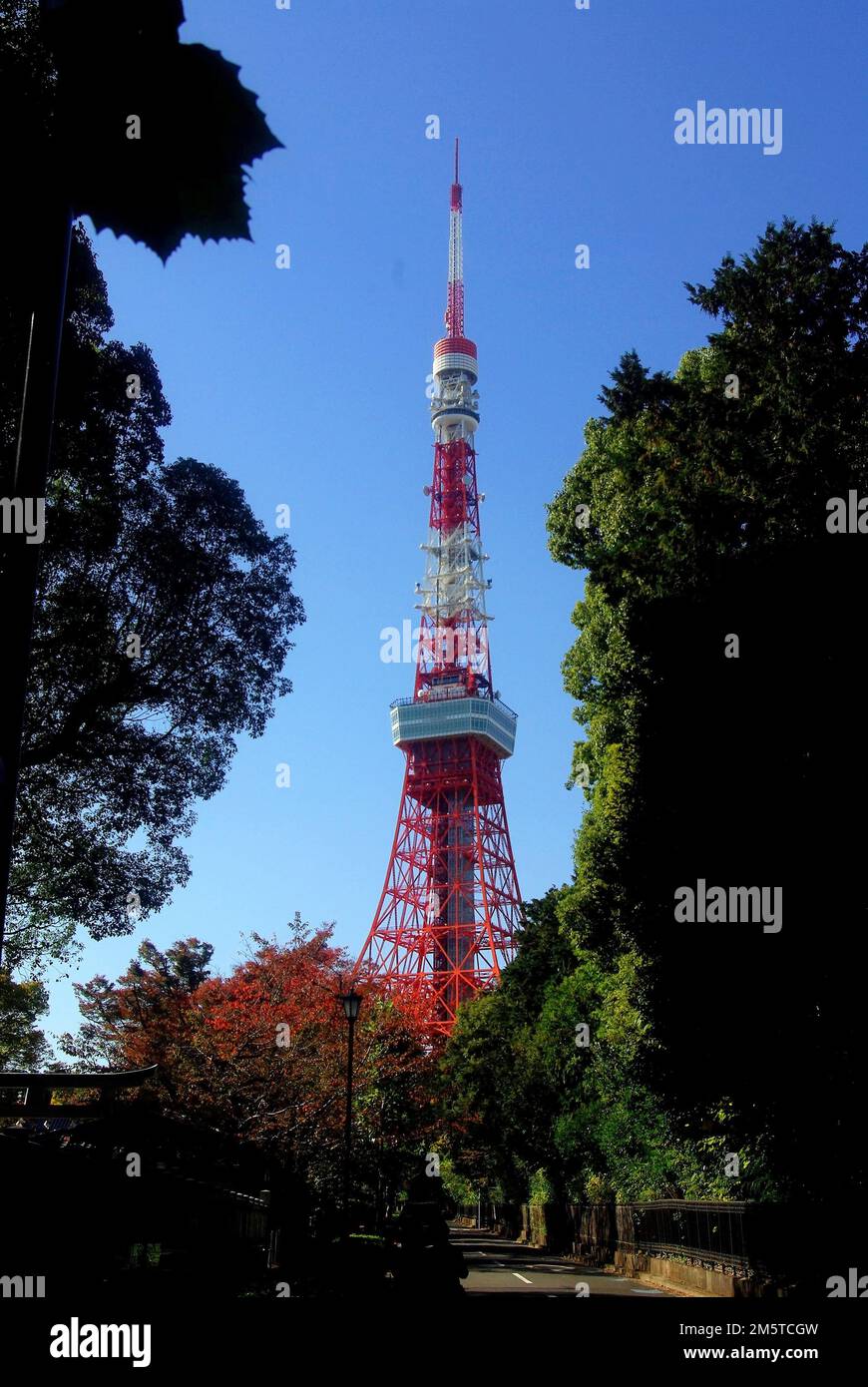 Tokyo tower trees hi-res stock photography and images - Alamy