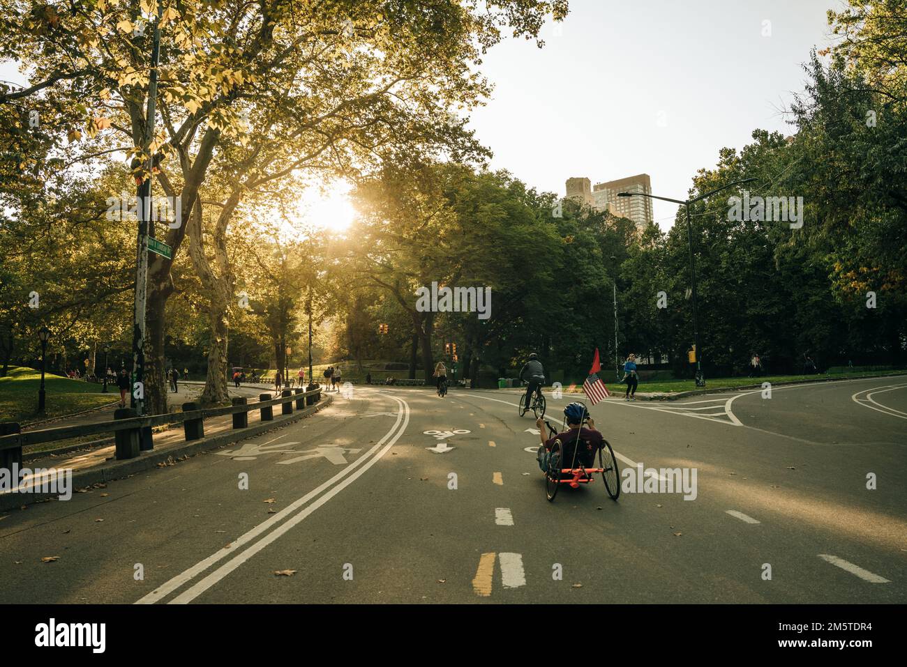 THE MALL, CENTRAL PARK, NEW YORK, USA-AUG, 2022: People walking down ...