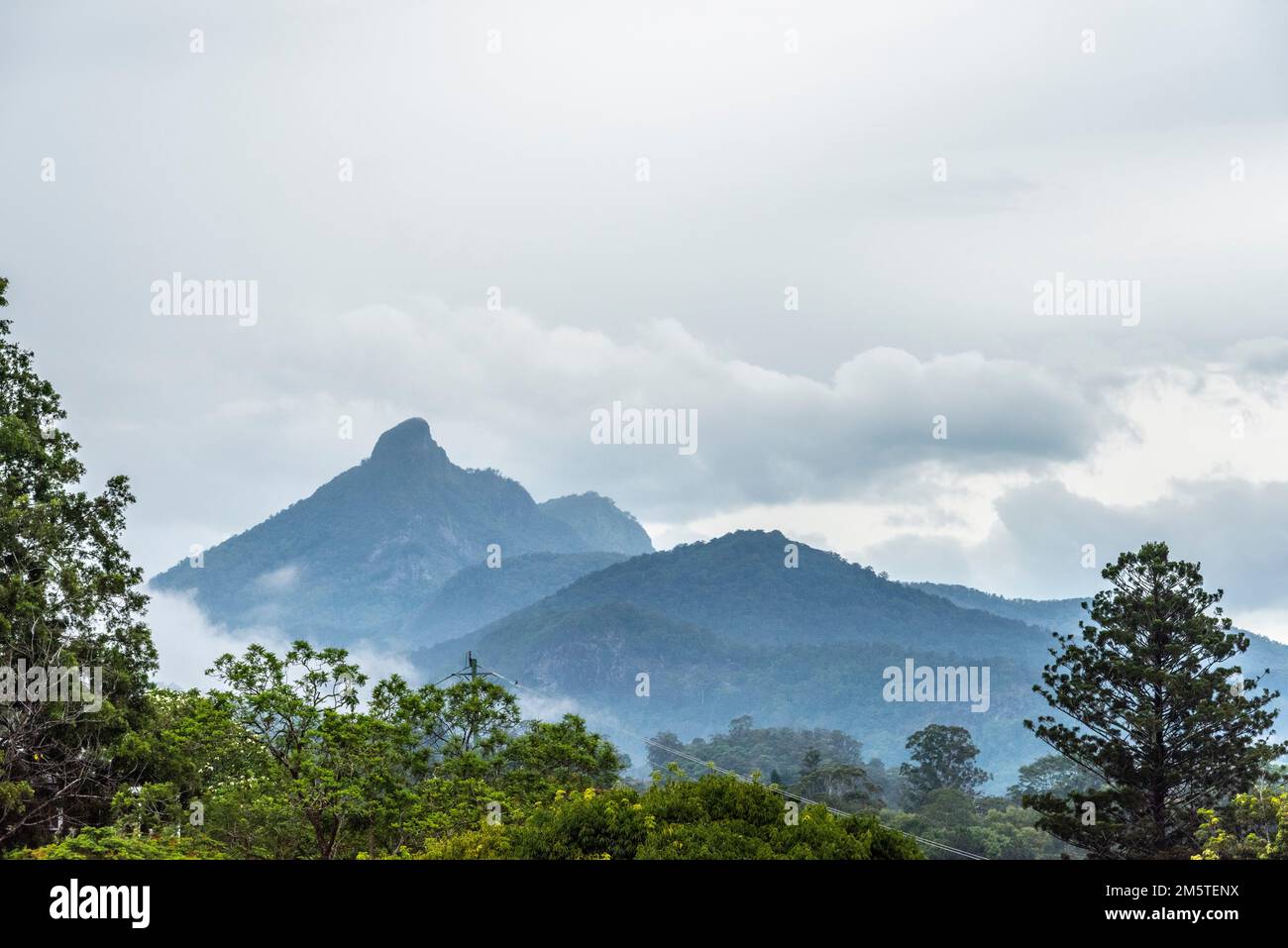 View of Mount Warning (Wollumbin) across the cane fields of Murwillumbah in northern new south