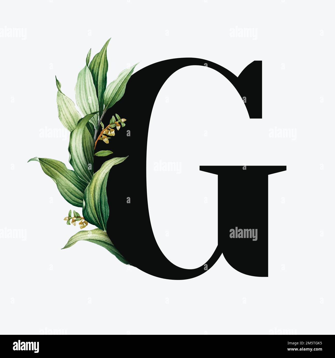 Botanical Capital Letter G Vector Stock Vector Image & Art - Alamy