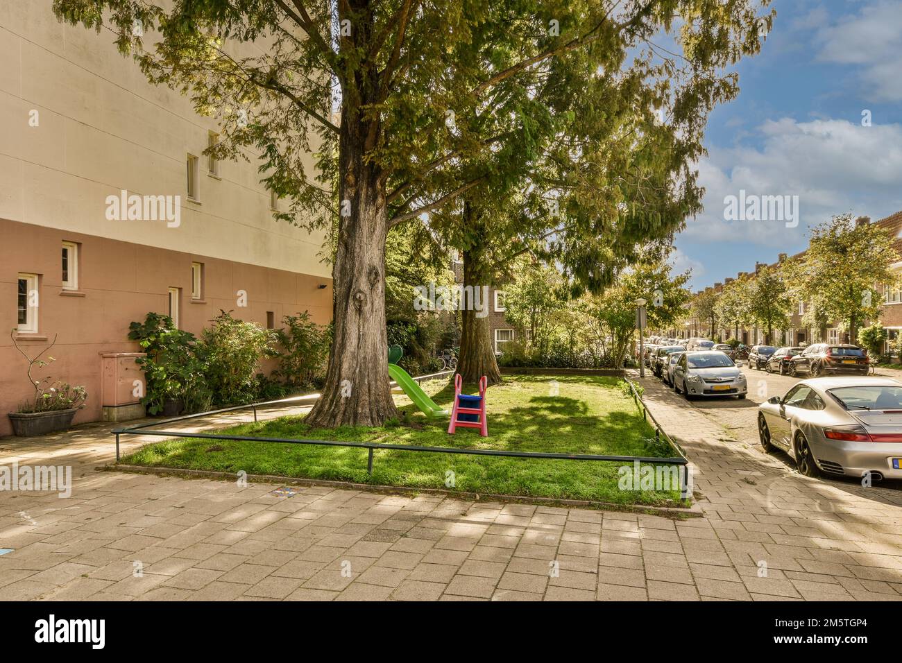 a tree in the middle of a street with cars parked on both sides and