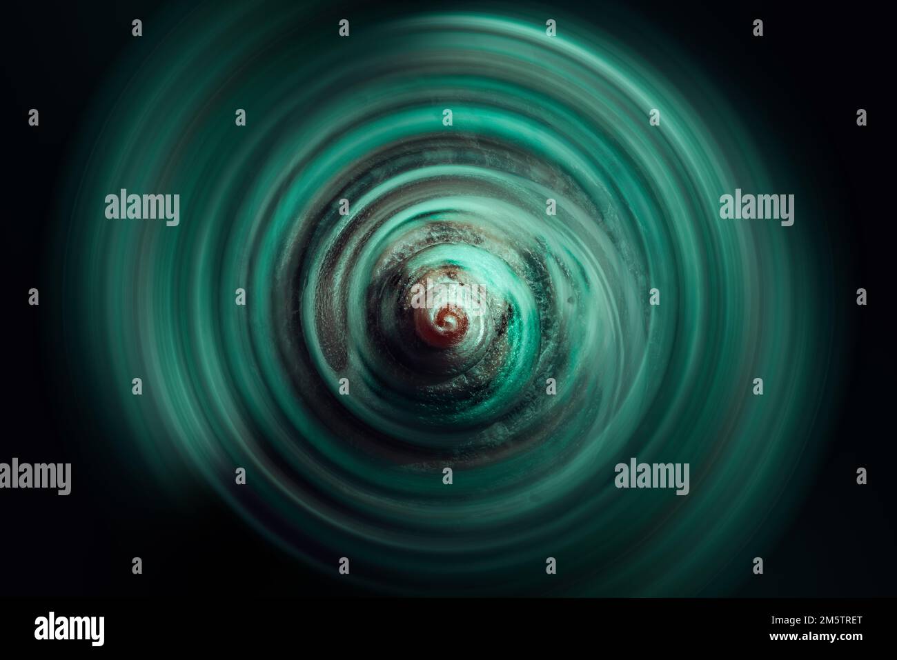 Circular shell design hi-res stock photography and images - Alamy