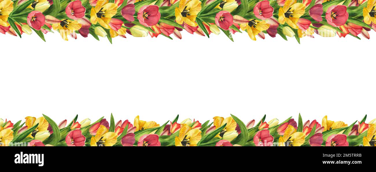 Spring Borders Full Page Designs