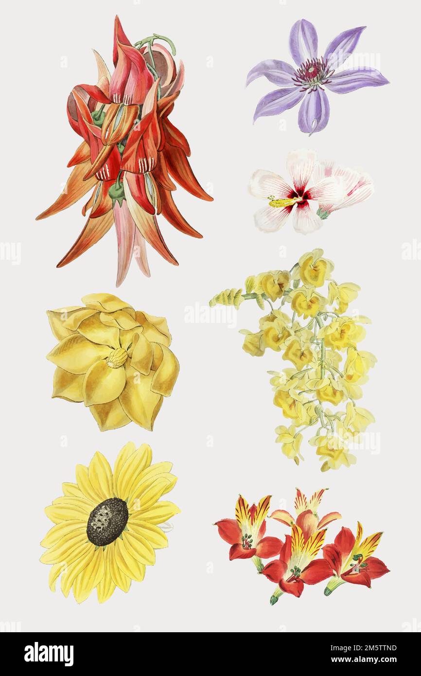 Colorful flower set hand drawn vector Stock Vector Image & Art - Alamy