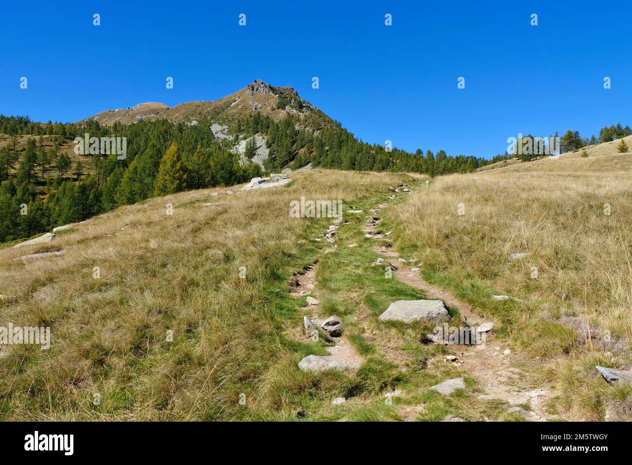 Mountain landscape, Alpe Salei in Onsernoe Valley, Ticino in Switzerland Stock Photo