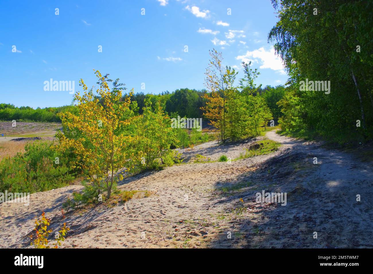 Geierswalder Lake beach in Lusatian Lake District on a sunny day, Germany Stock Photo