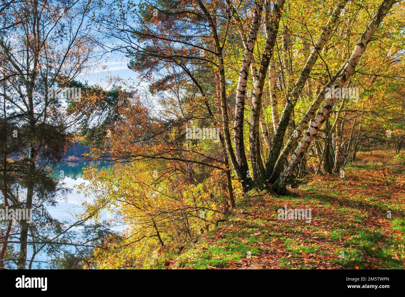 Autumn forest by the lake, indian summer Stock Photo