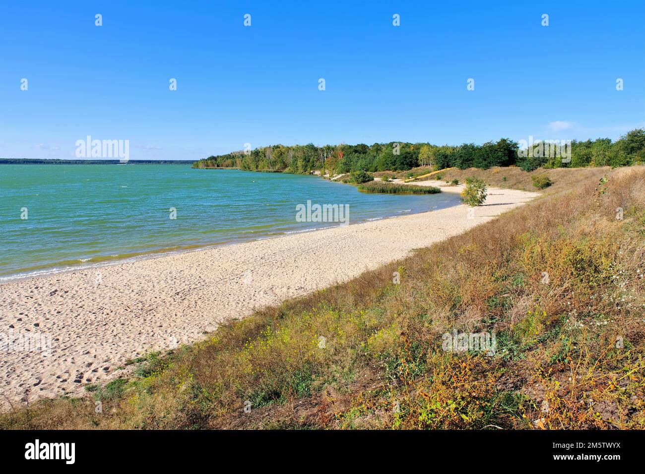 Partwitzer Lake beach in Lusatian Lake District on a sunny day, Germany Stock Photo