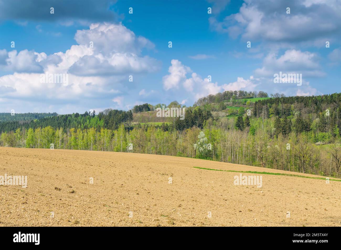 landscape withe fields in Vogtland in spring, Germany Stock Photo