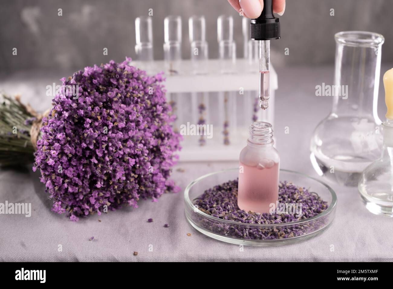 Lavender flowers in laboratory for analytic. Copy space Stock Photo Alamy