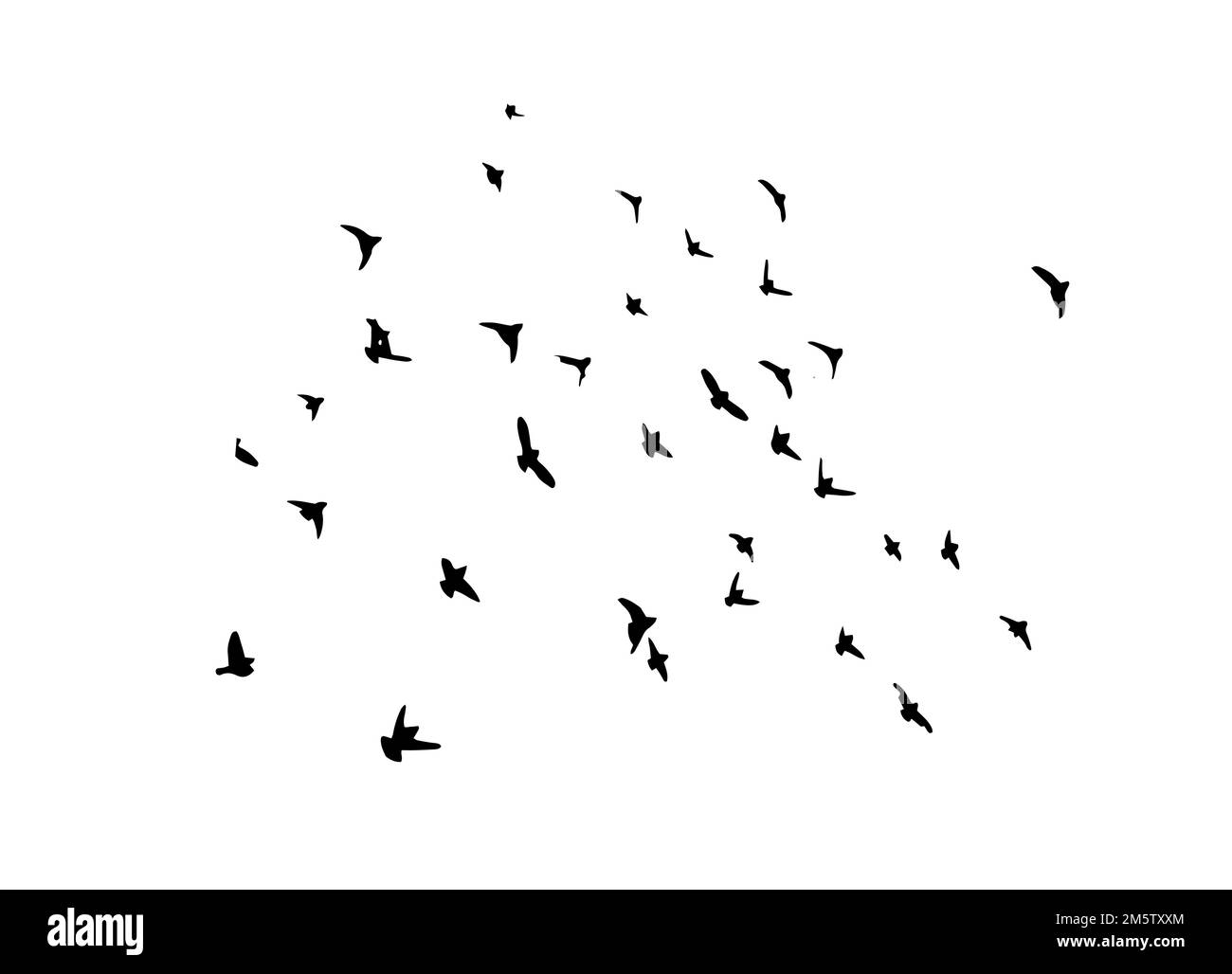 A flock of flying birds. Free birds. Vector illustration Stock Vector