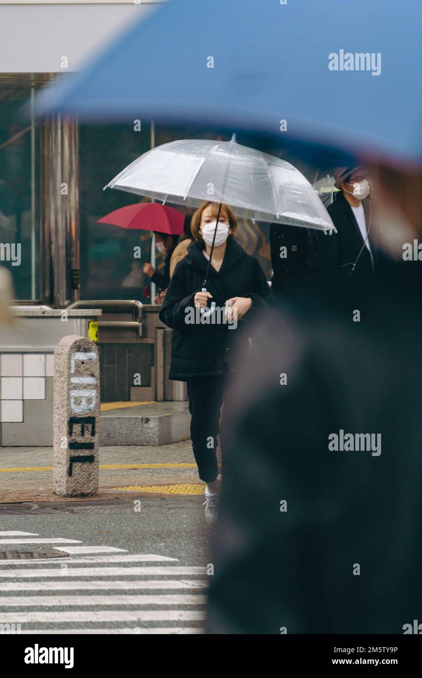 Pedestrian with umbrellas at Shibuya Stock Photo - Alamy