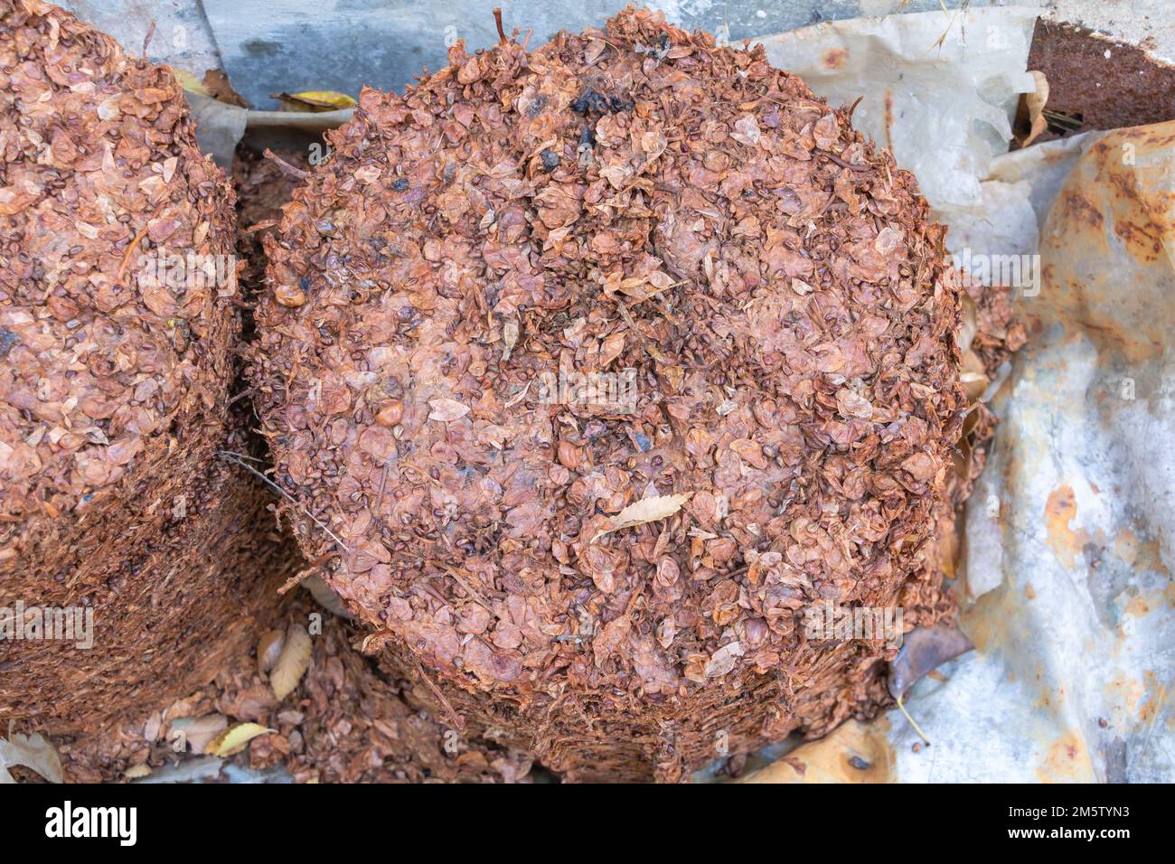 Dry Grape pomace after being pressed the wine making process Stock Photo Alamy