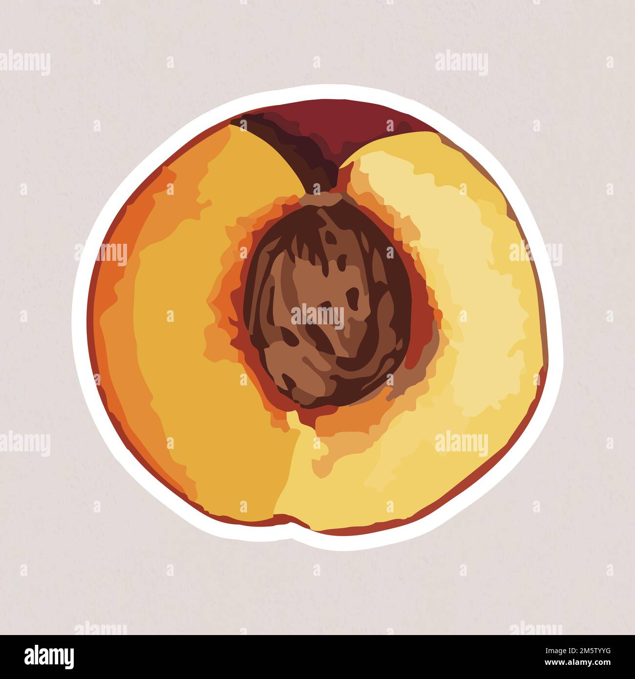 Hand drawn vectorized apricot sticker with white border Stock Vector
