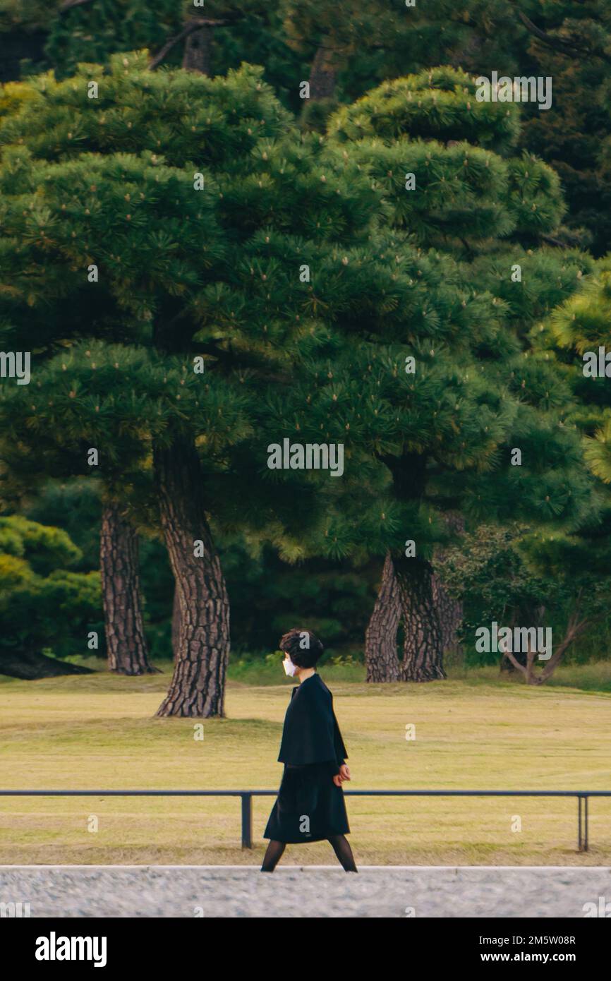 Old woman alone park hi-res stock photography and images - Alamy