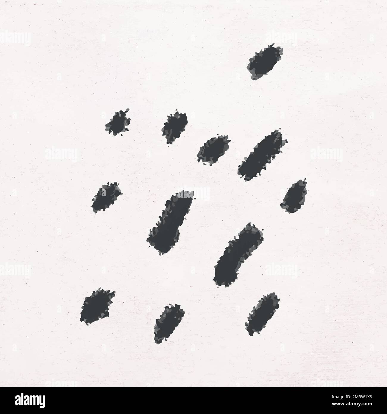 Abstract black crayon scribble vector hand drawn Stock Vector Image