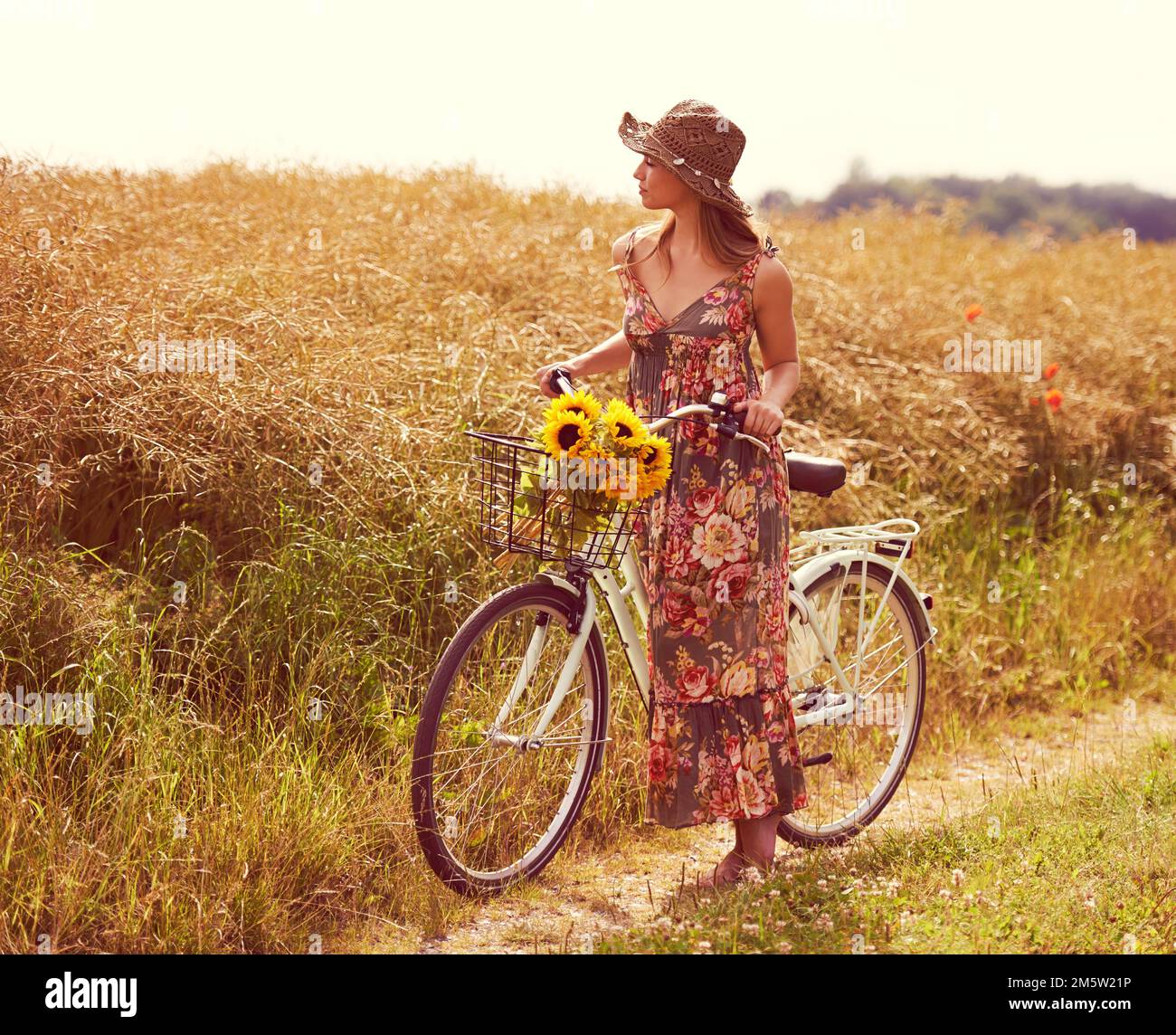 Explore more. a young woman cycling through the countryside with a bunch of sunflowers. Stock Photo