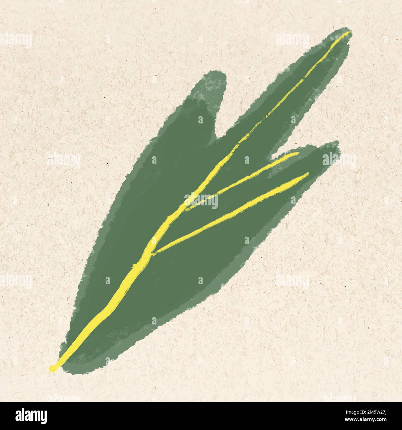 Green leaf vector botanical hand drawn Stock Vector Image & Art - Alamy