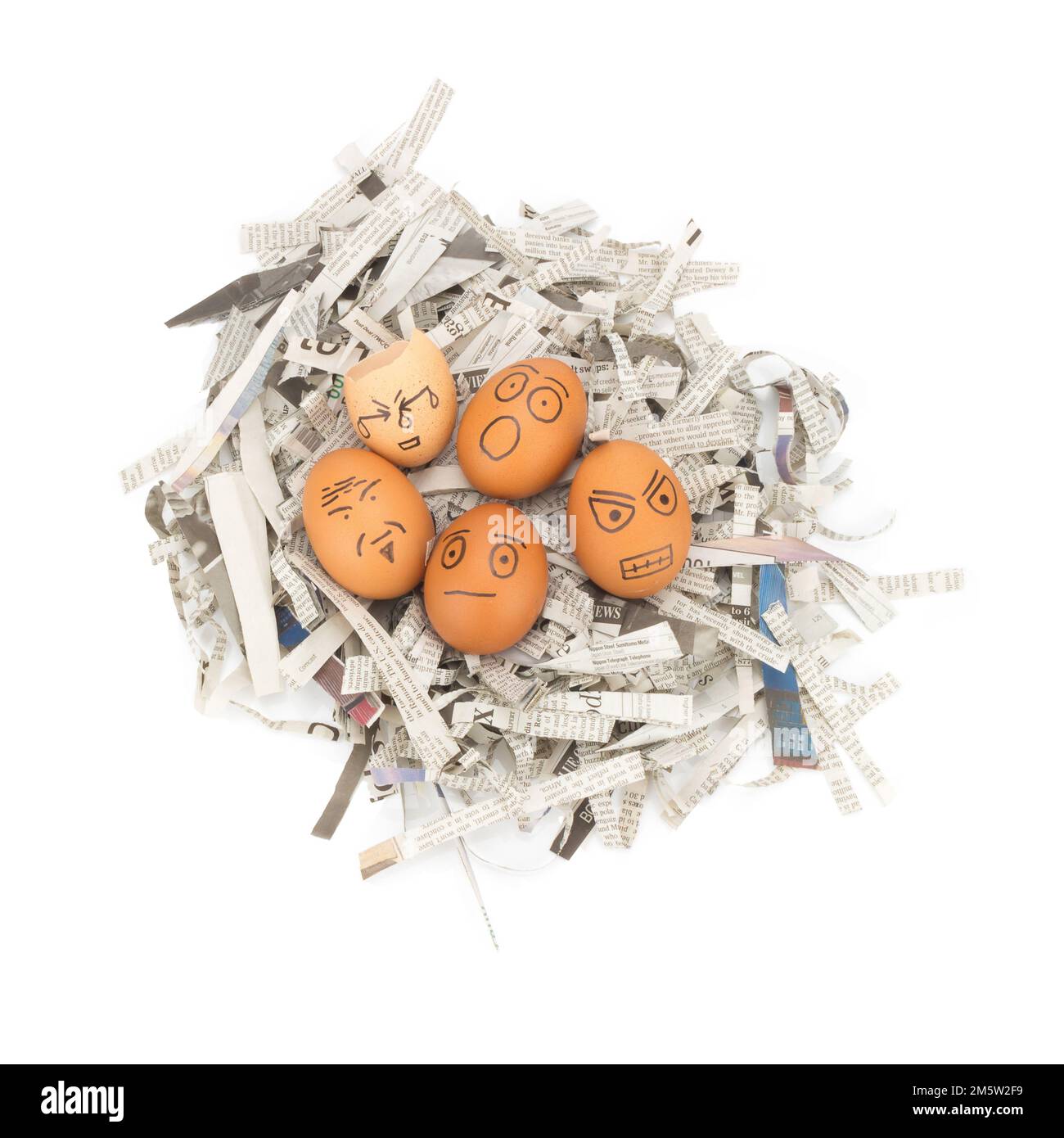 egg face on newspapers recycle Stock Photo Alamy