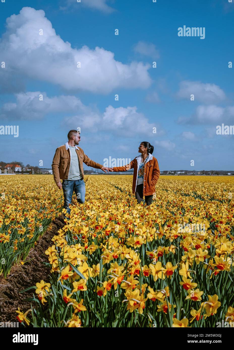 couple walking in yellow flower bed , men and woman in yellow daffodil flowers during Spring in the Netherlands Lisse during Sprin Stock Photo
