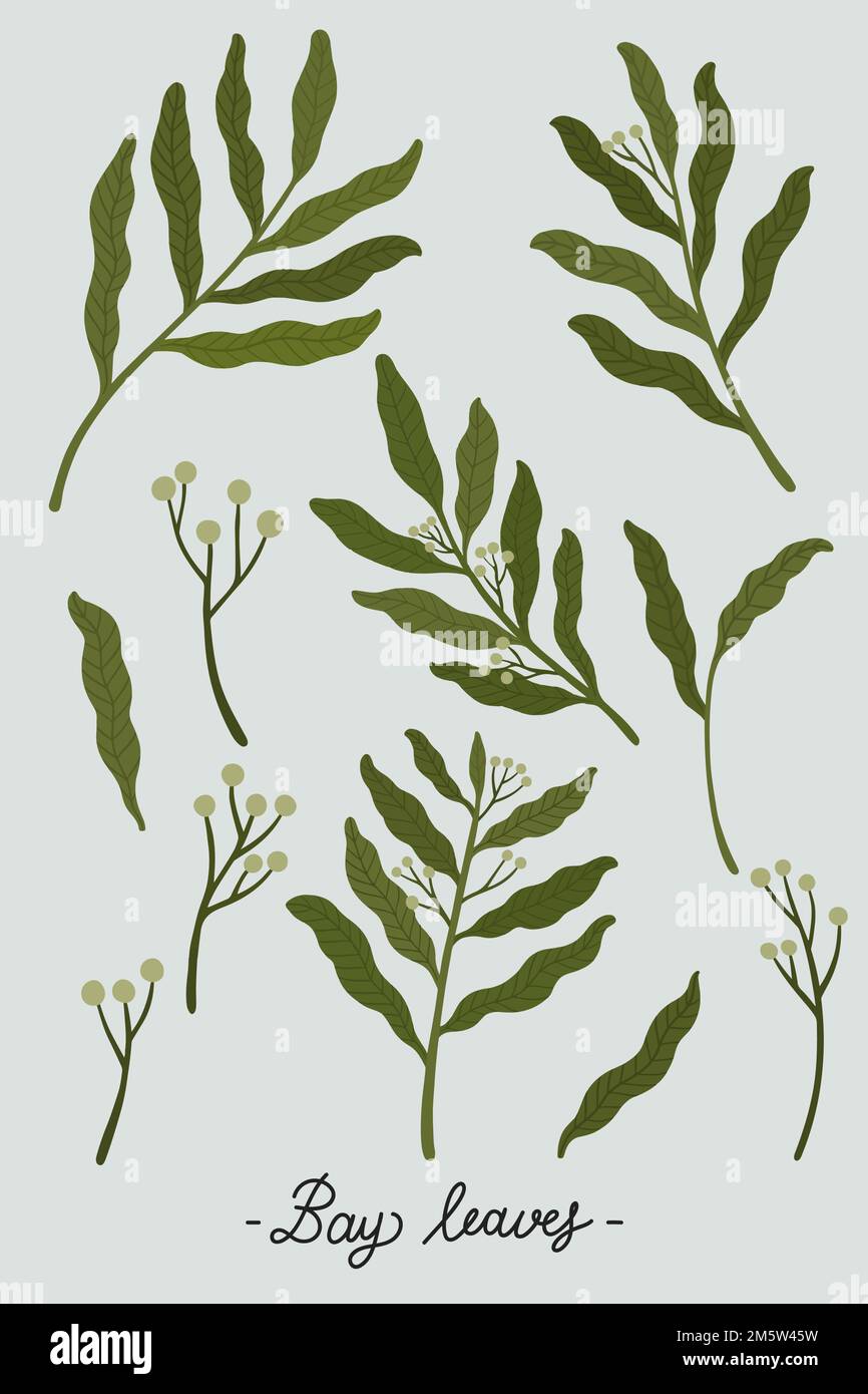 Green leaves on a gray background illustration Stock Vector Image & Art ...