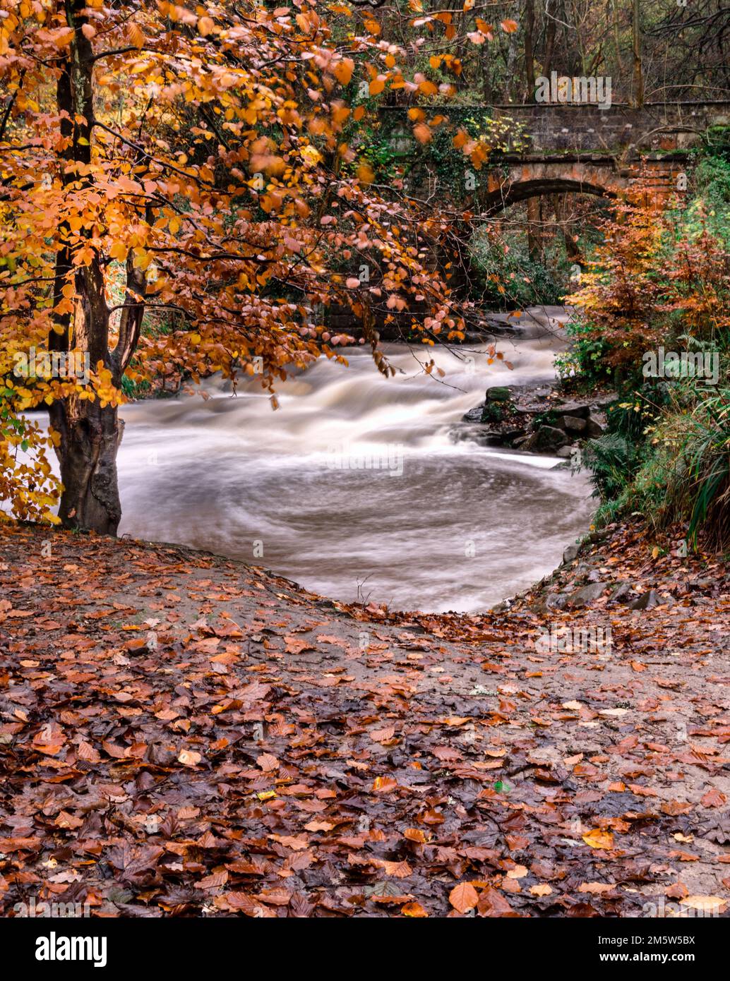 Swirling pool of water in the North Yorkshire moor national park in autumn. Stock Photo