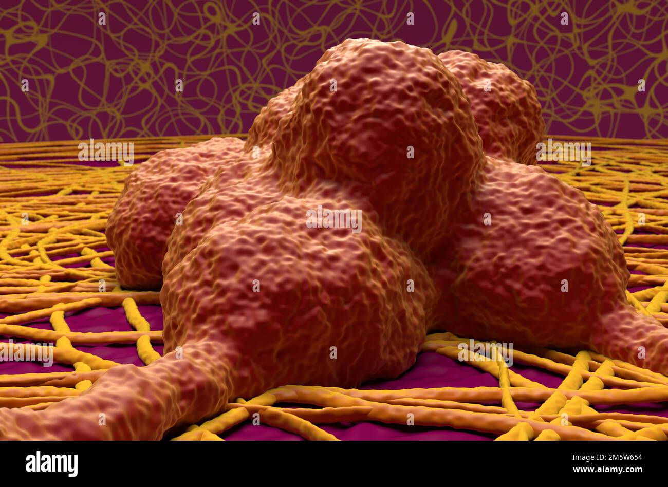 Neuron cells in the human nervous system - 3d illustration closeup view ...