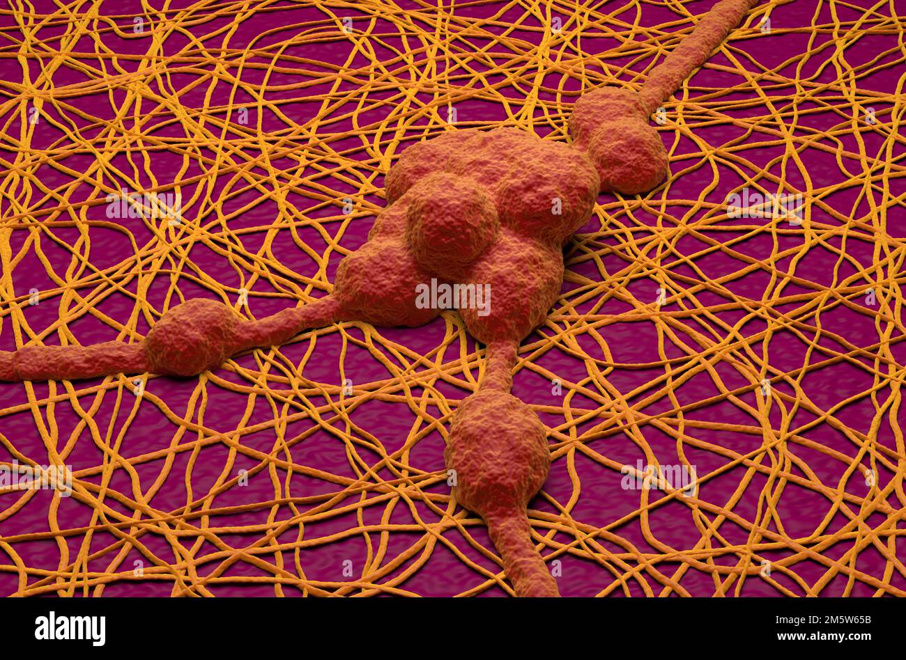 Neuron cells in the human nervous system - 3d illustration isometric view Stock Photo
