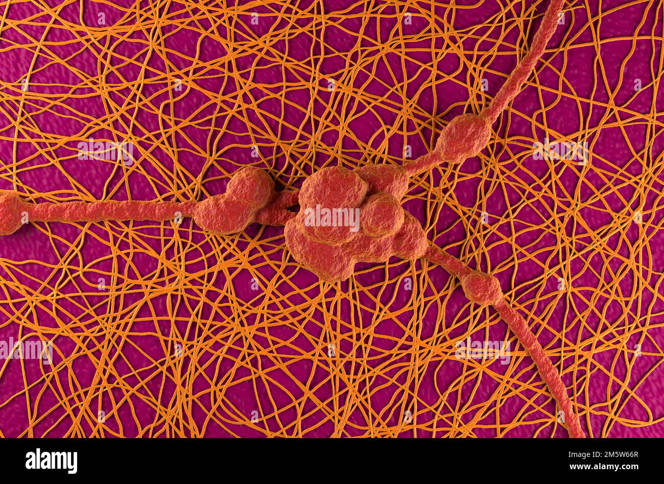 Neuron cells in the human nervous system - 3d illustration top view ...