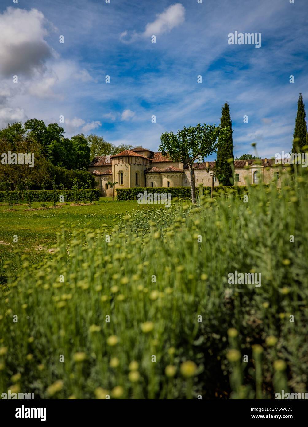 View on the medieval abbey of Flaran in the south of France (Gers) with holy-flax flowers in the foreground Stock Photo