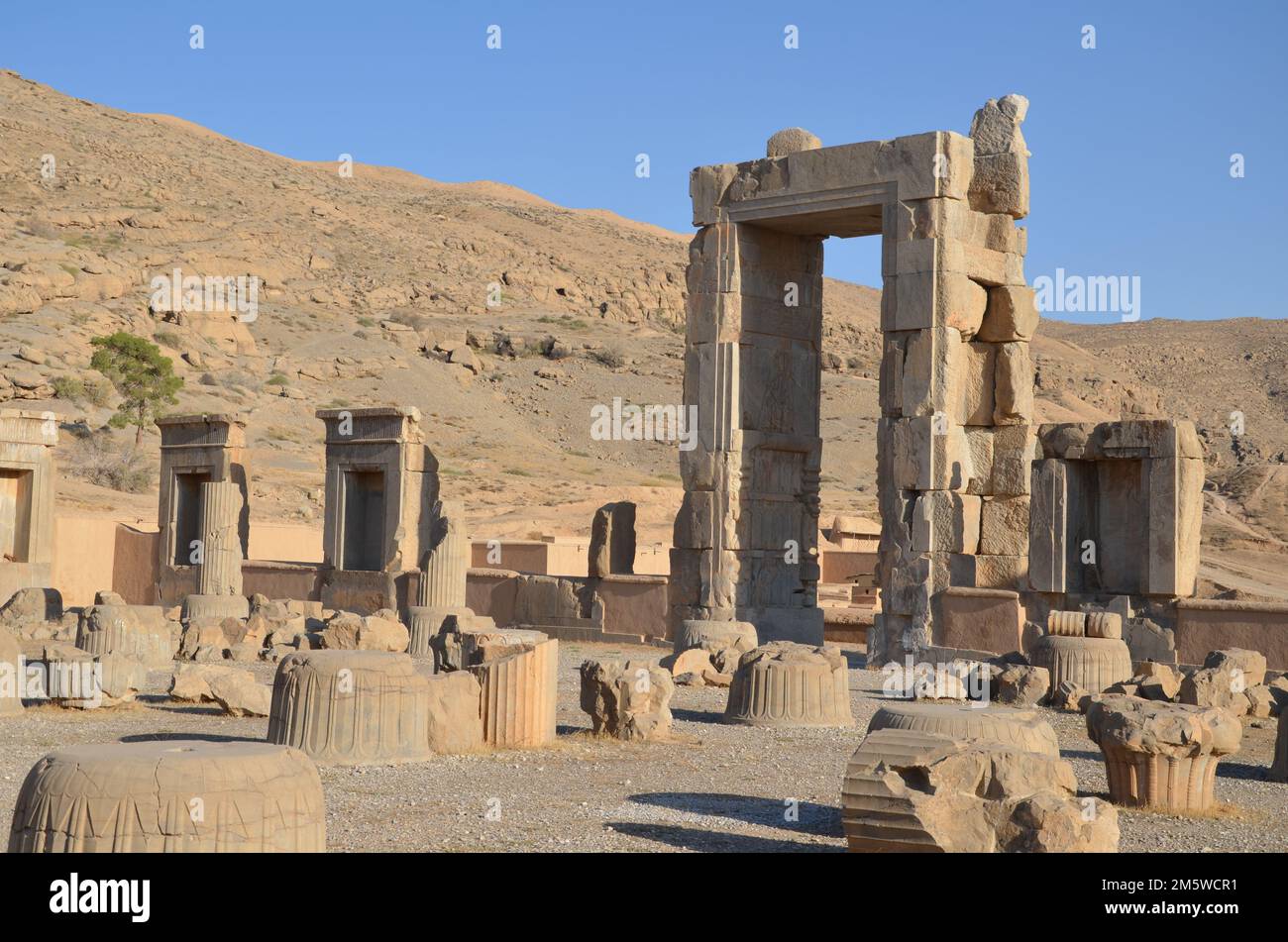 the ruins of ancient Persepolis world heritage Iran Stock Photo - Alamy